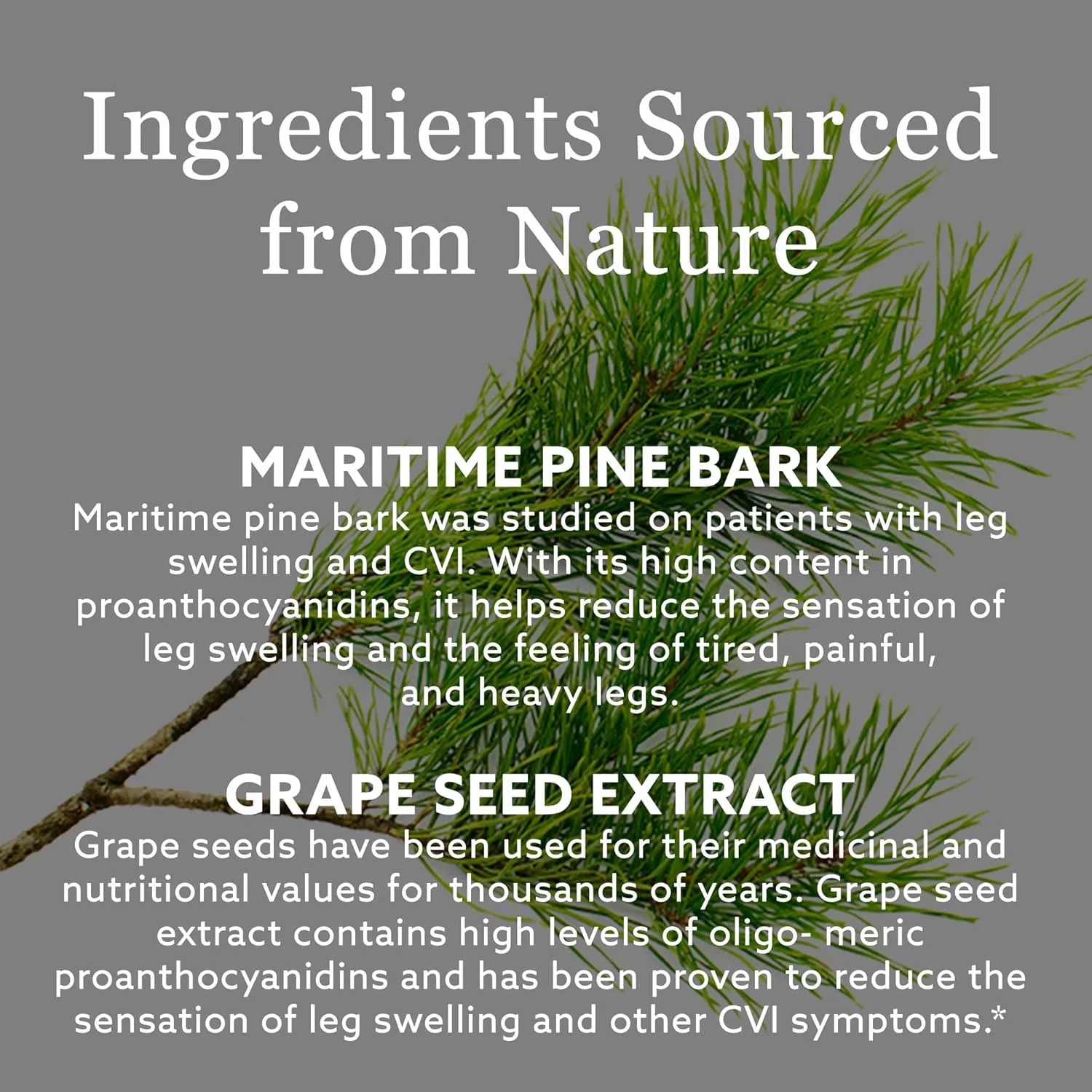 Active Legs™ Strong | New Nordic | 30 Coated Tablets - Image 6