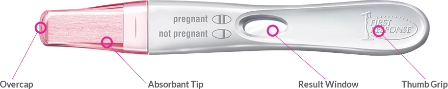 Early Result Pregnancy Test | First Response™ | 1 or 2 Tests - Image 4