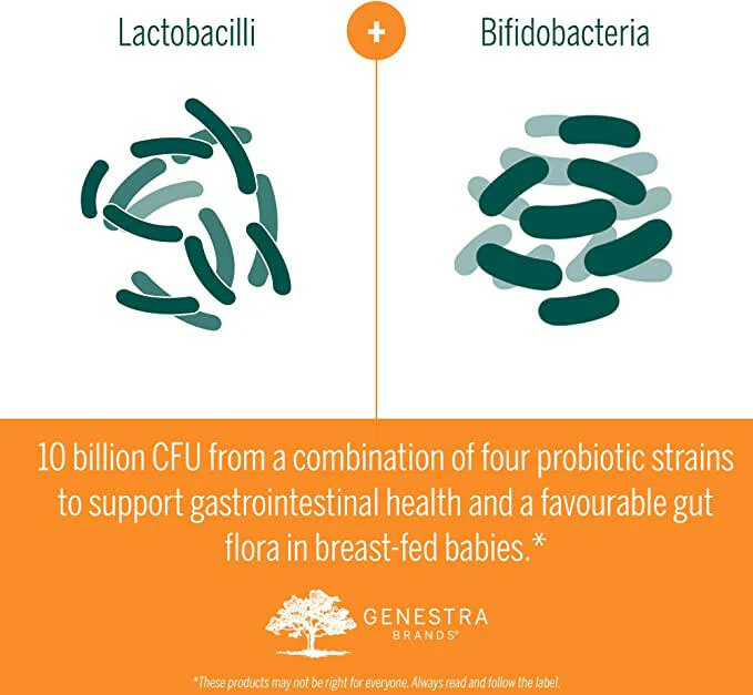 HMF Baby B | Genestra Brands® | 6 Grams Powder - Image 6