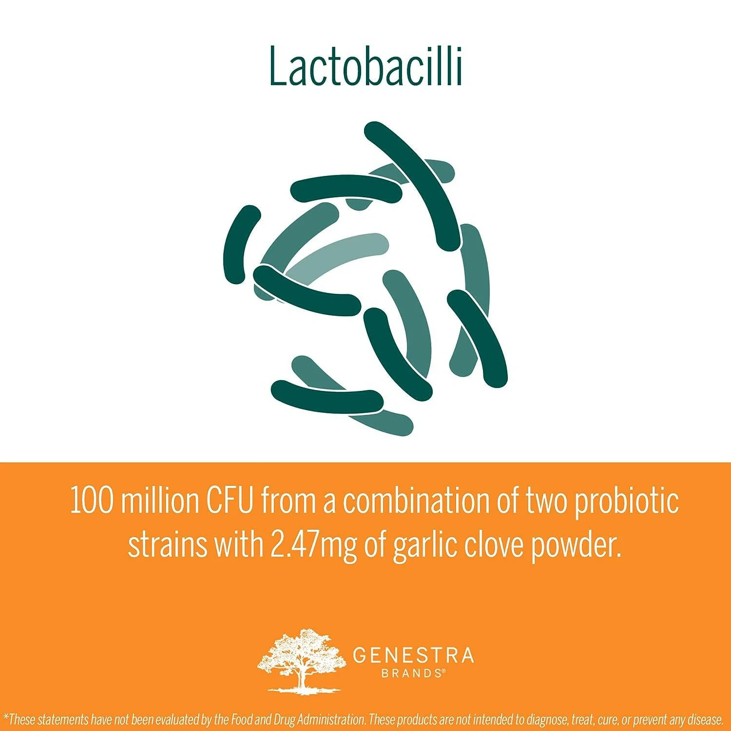 HMF Cream by Genestra Brands® – Probiotic Skin Support | 50 g (1.8 oz) Tube - Image 4