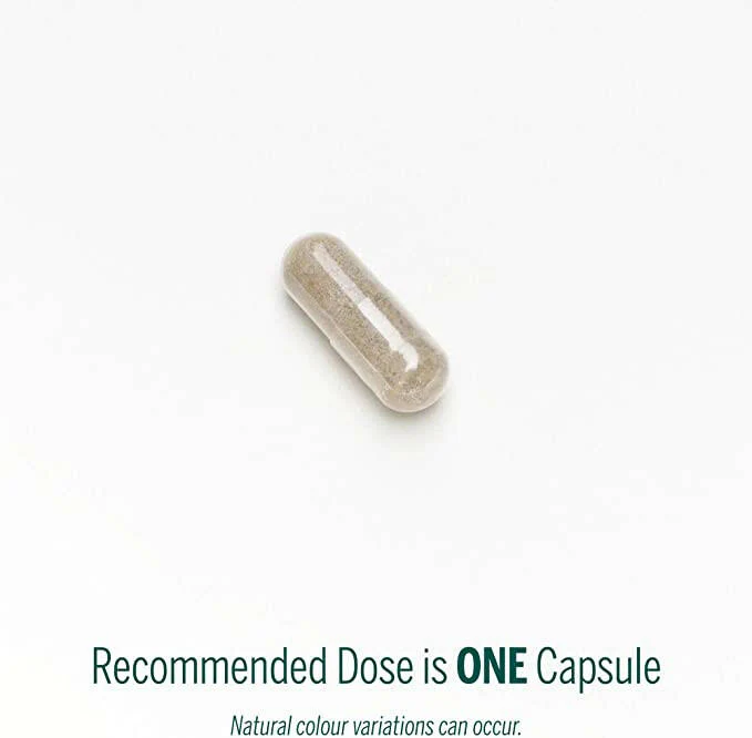 Vitex agnus-castus | Genestra Brands® | 60 Vegetable Capsules - Image 3