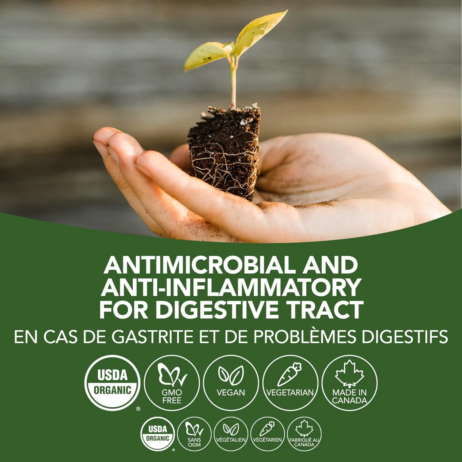 Goldenseal | St. Francis Herb Farm | 50, 100, 250 mL - Image 6