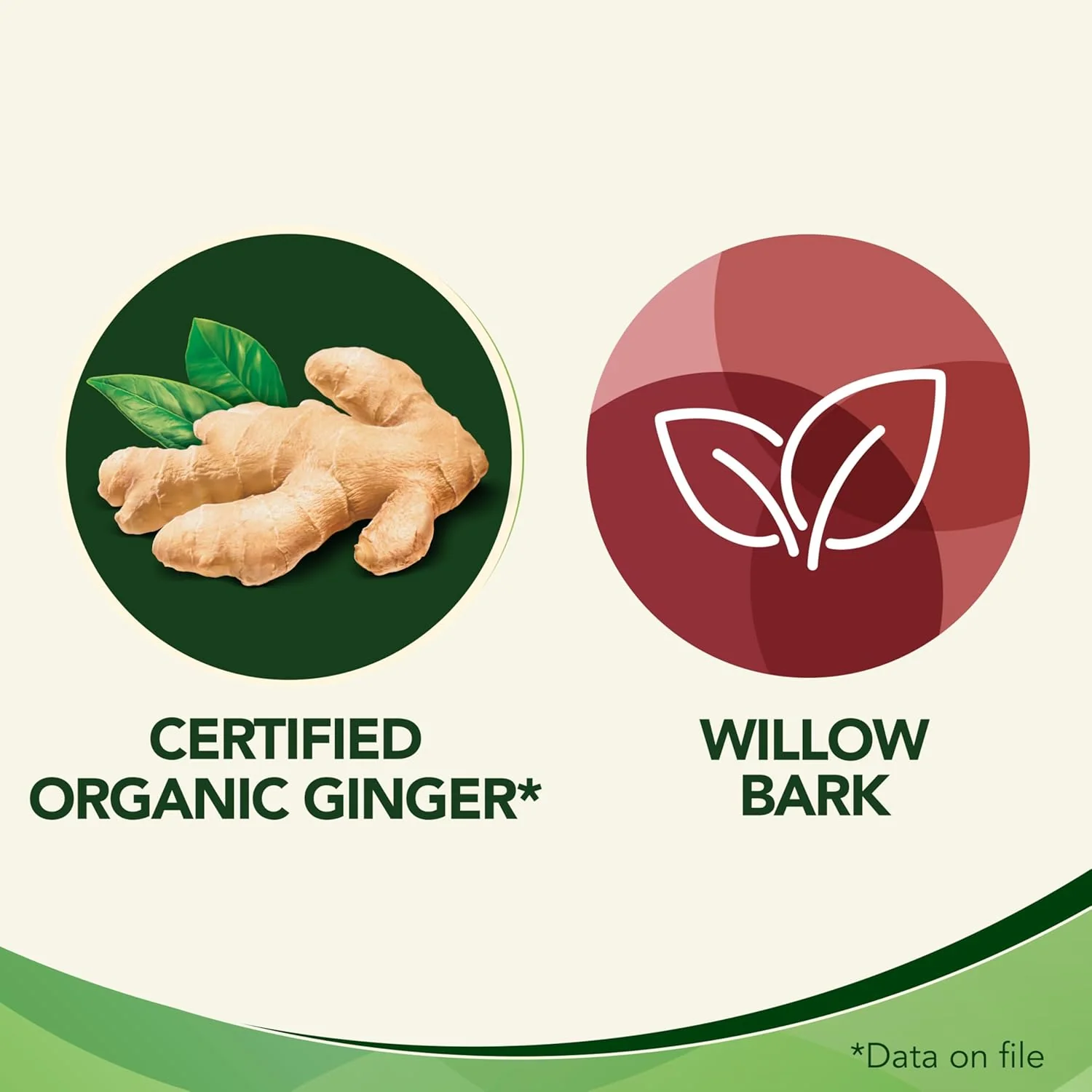 Multi-Symptom Tablet, Made in Canada |Gravol Ginger™| 20 Tab - Image 4