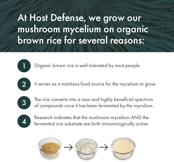 MycoBotanicals® Liver Capsules  | Host Defense® Mushrooms™ | 60 Capsules - Image 9