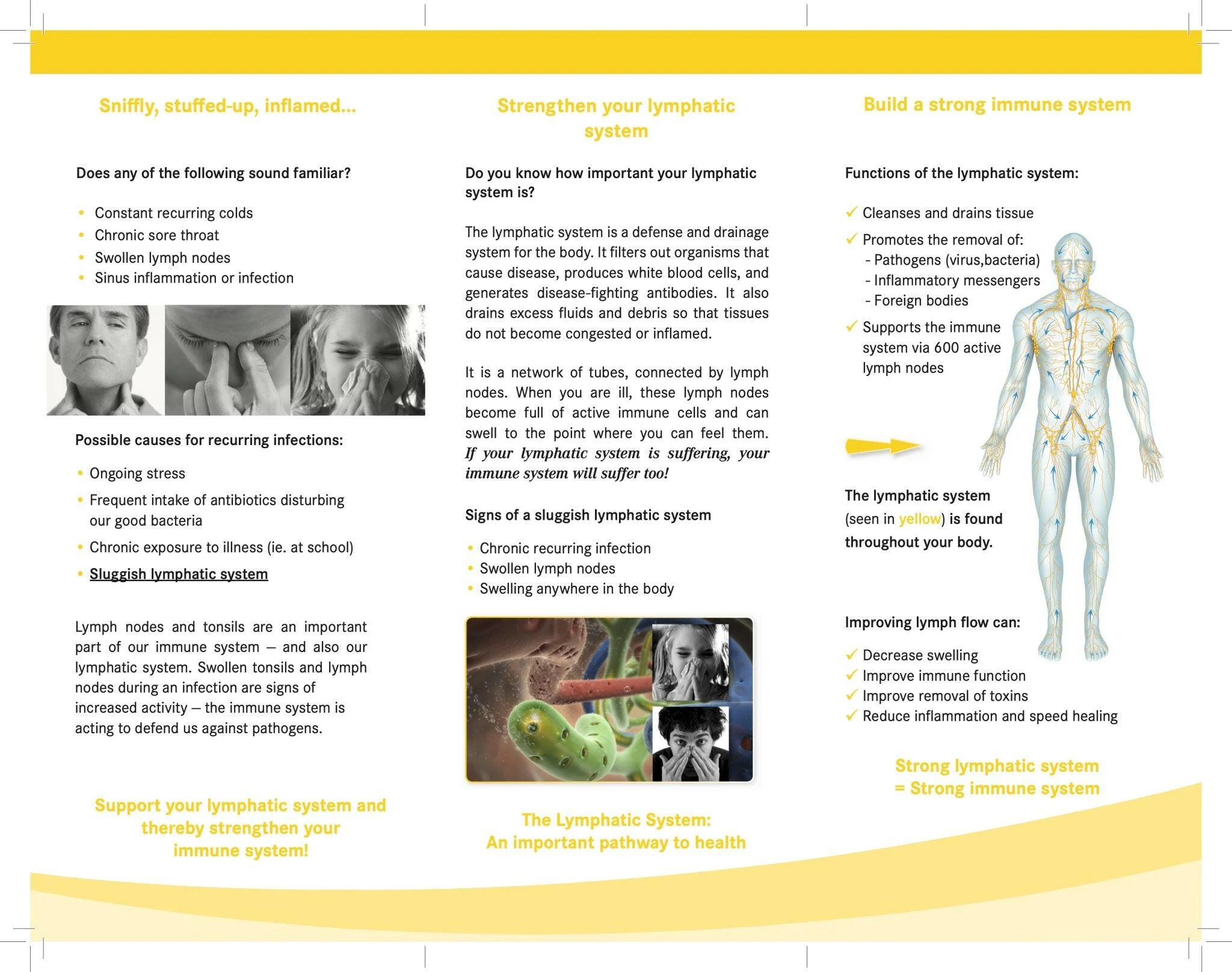 Lymphdiaral® Drops by Pascoe – Lymphatic Drainage & Inflammation Support | 50 mL - Image 8