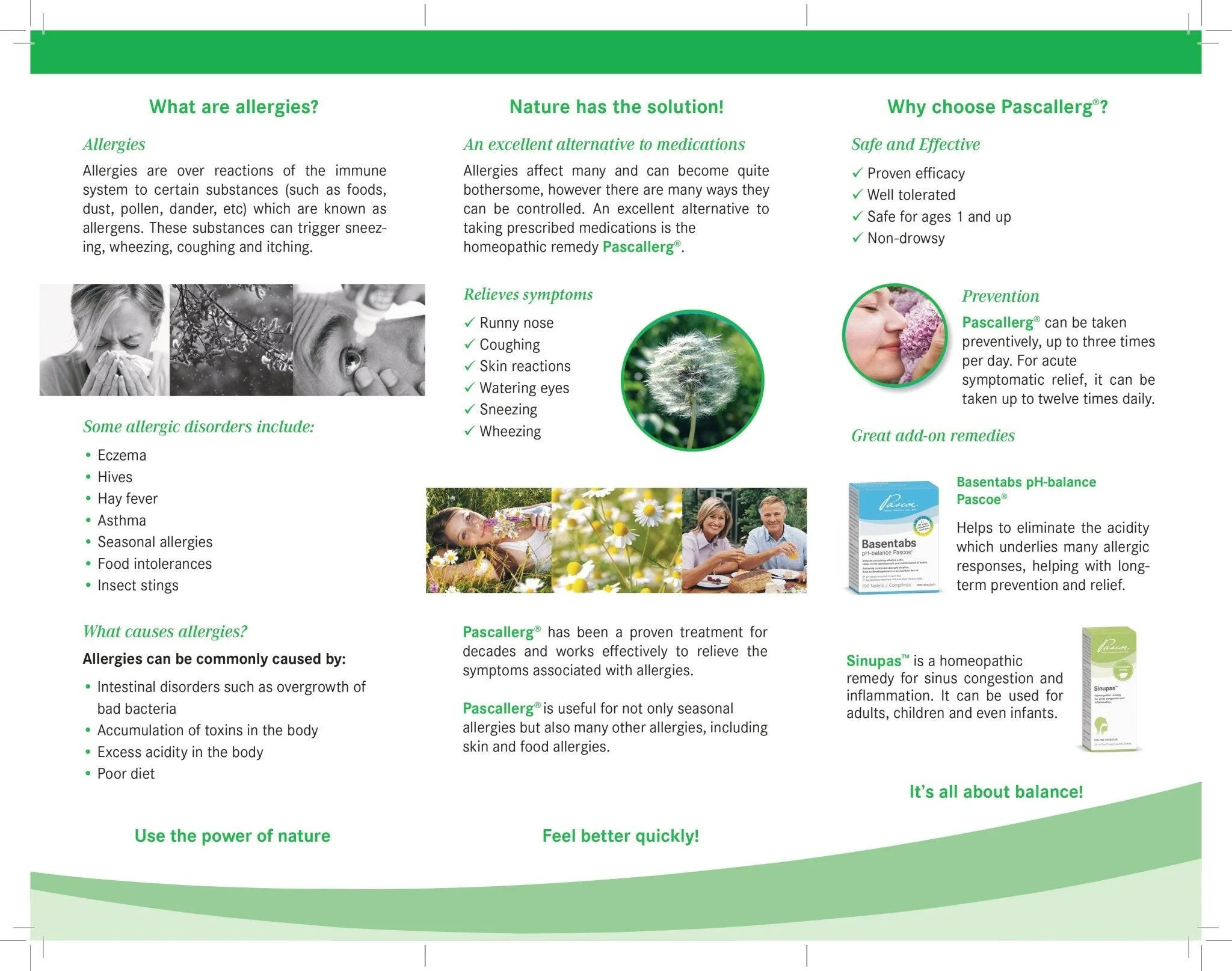 Pascallerg® | Pascoe® | 100 Tablets - Image 9