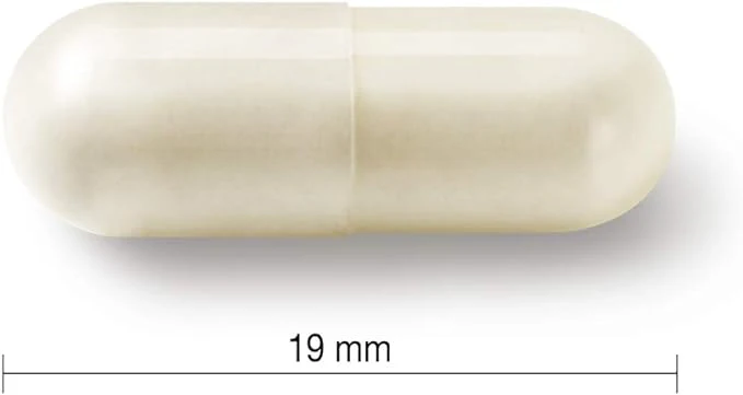 Adult 50+ Probiotic Complex | Jamieson™ | 30 Vegetarian Capsules - Image 3