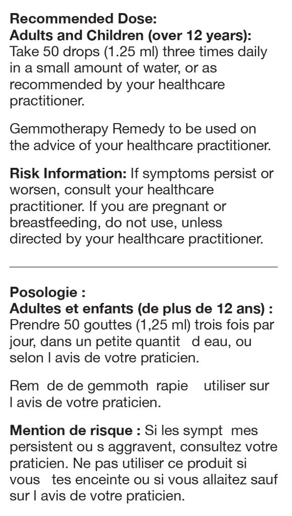 Sorbus Domestica | UNDA Gemmo | 125 mL - Image 3
