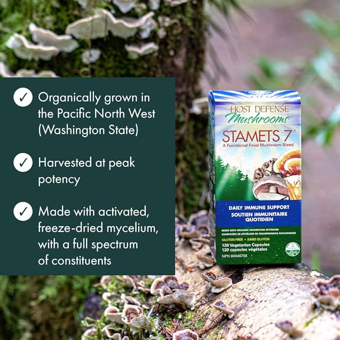 Stamets 7® Capsules by Host Defense® Mushrooms™ – Immune & Whole-Body Mushroom Support | 30, 60 or 120 Capsules - Image 5