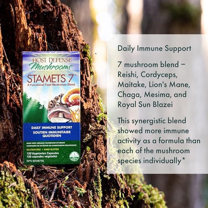 Stamets 7® Capsules by Host Defense® Mushrooms™ – Immune & Whole-Body Mushroom Support | 30, 60 or 120 Capsules - Image 7