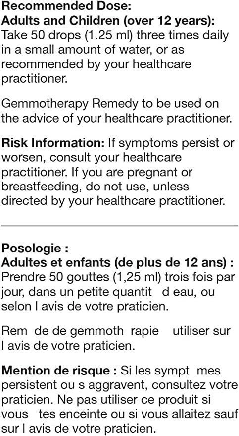 Tilia Tomentosa by UNDA Gemmo – Nervous System & Stress Modulation Support | 125 mL (4.2 fl oz) - Image 7